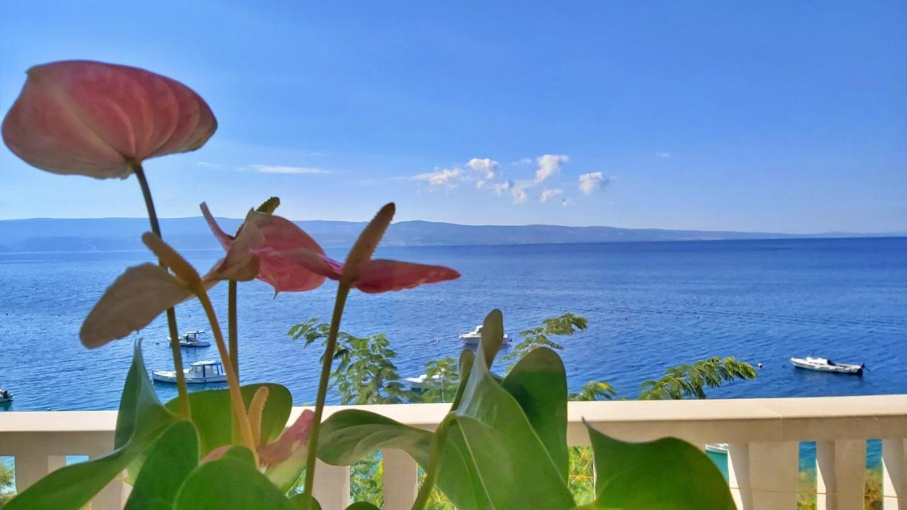 Apartman Neda Omiš